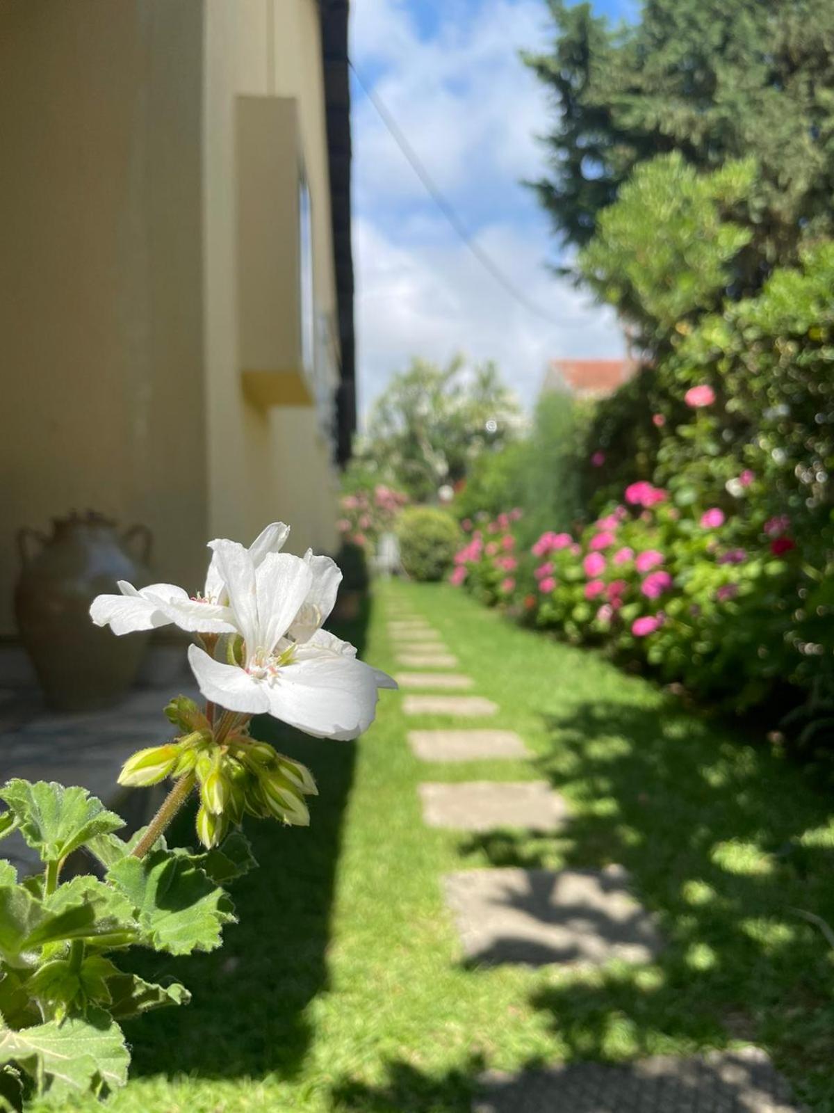 Villa Tina Country Beach Apartments อาคาราวี ห้อง รูปภาพ