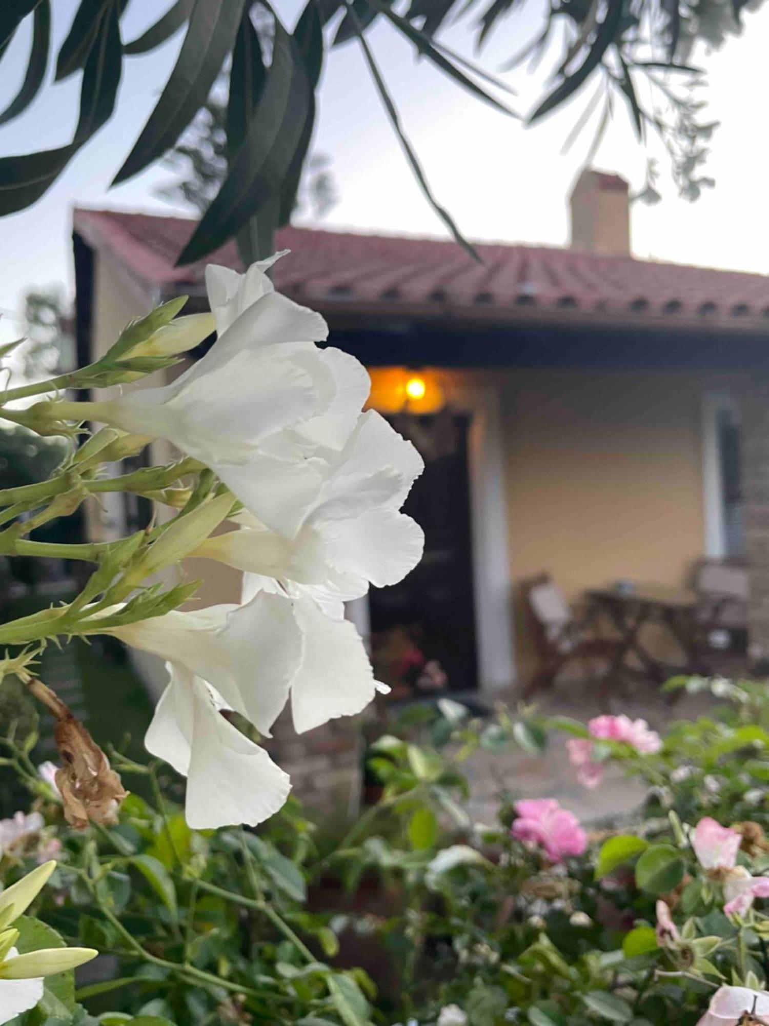 Villa Tina Country Beach Apartments อาคาราวี ห้อง รูปภาพ